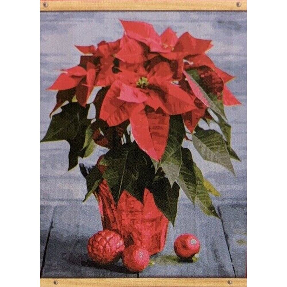 Artist's Loft Paint by Number Kit Christmas Poinsettia 16"x 20" Canvas Gift Art